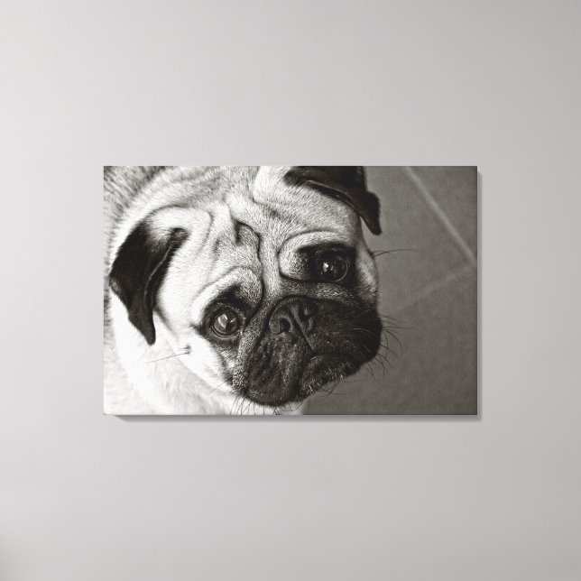 Pug Puppy on Canvas (Front)