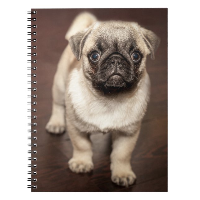 Pug Puppy on Polished Wood Floor Notebook (Front)