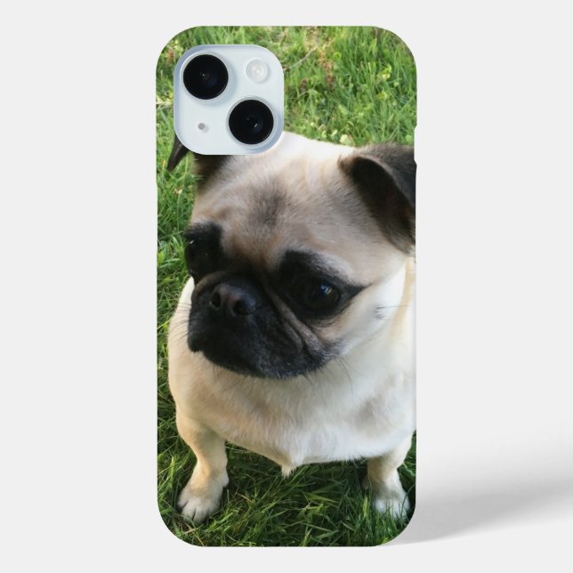 Pug Puppy Photo Case-Mate iPhone Case (Back)