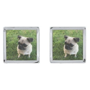 Pug Puppy Photo Cufflinks