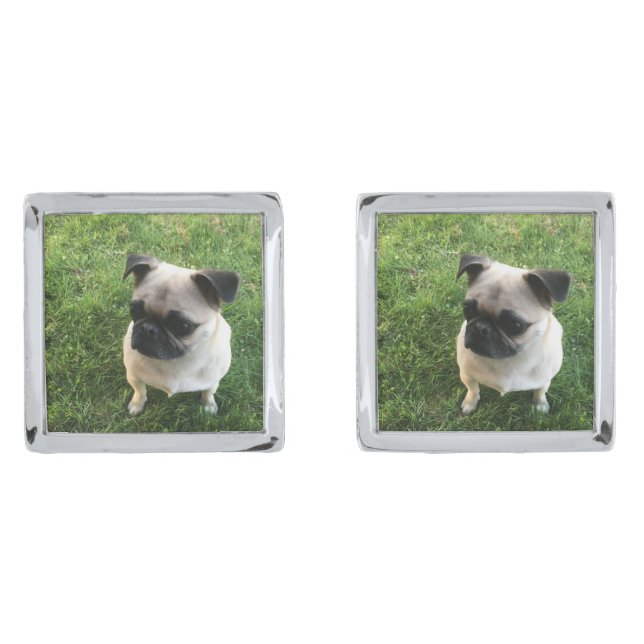 Pug Puppy Photo Cufflinks (Front)