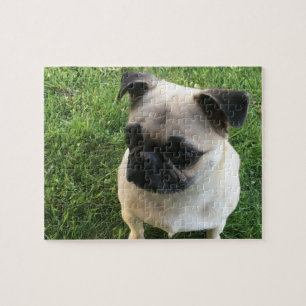 Pug Puppy Photo Jigsaw Puzzle