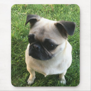 Pug Puppy Photo Mouse Pad