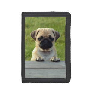 Pug Puppy Photo Tri-fold Wallet