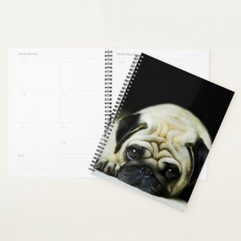 Pug Puppy Planner by NatureTales at Zazzle