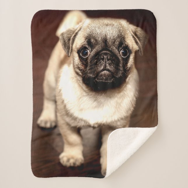 PUG PUPPY SHERPA BLANKET (Front)