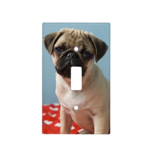 Pug puppy sitting on bed light switch cover