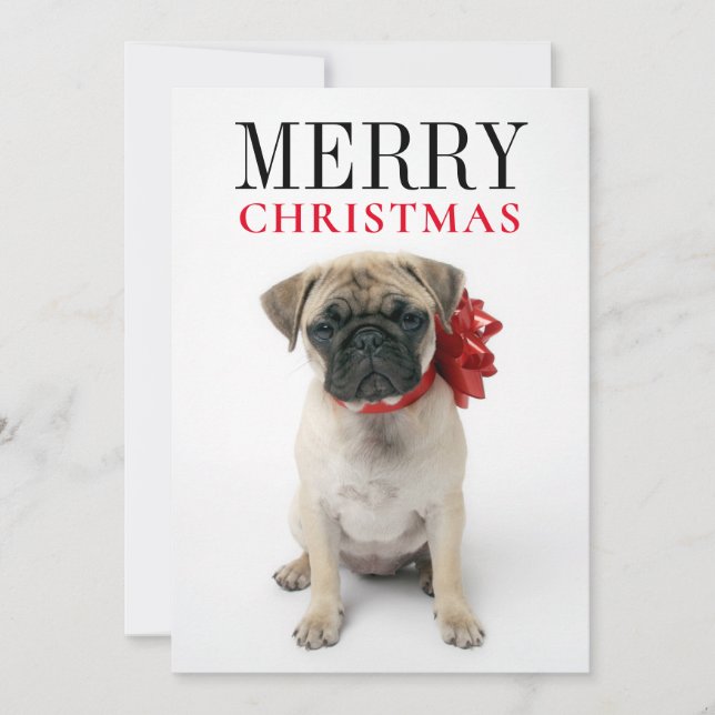 Pug Puppy with Christmas Bow Holiday Card (Front)