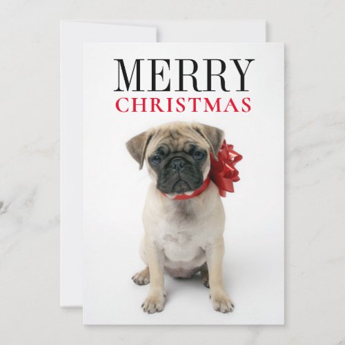 Pug Puppy with Christmas Bow Holiday Card