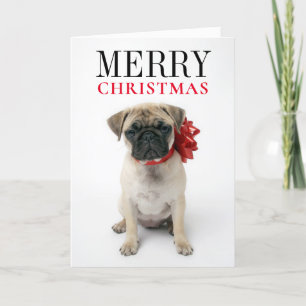 Pug Puppy with Christmas Bow Holiday Card
