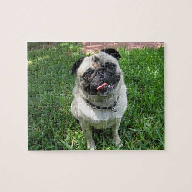 Pug Puzzle (Horizontal)