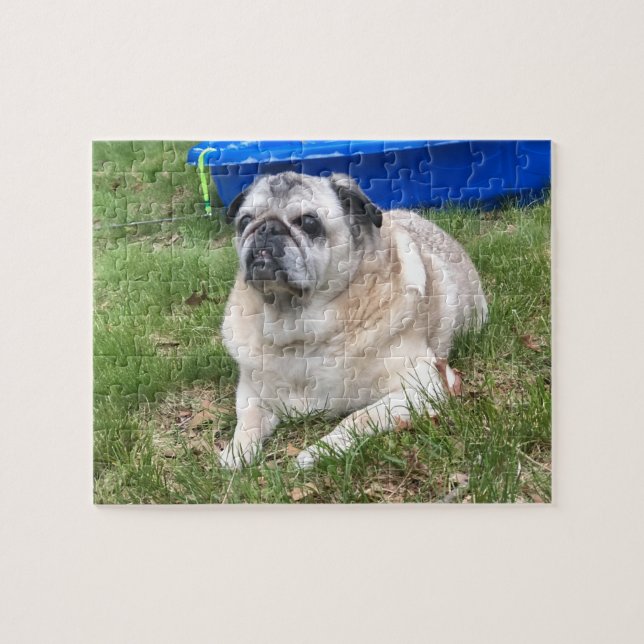 Pug Puzzle (Horizontal)