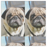 Pug q fabric
