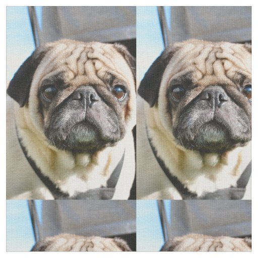 Pug q fabric