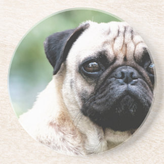 Pug Sandstone Coaster