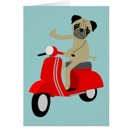 Pug Scooter (Front)