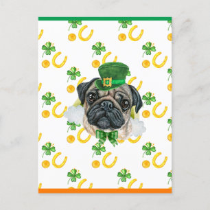 Pug Shamrock St. Patricks Day Holiday Postcard