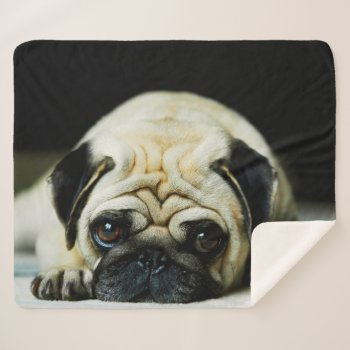 Pug Sherpa Blanket by NatureTales at Zazzle