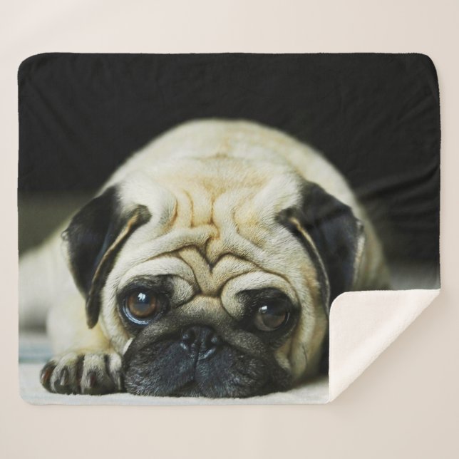 Pug Sherpa Blanket (Front (Horizontal))