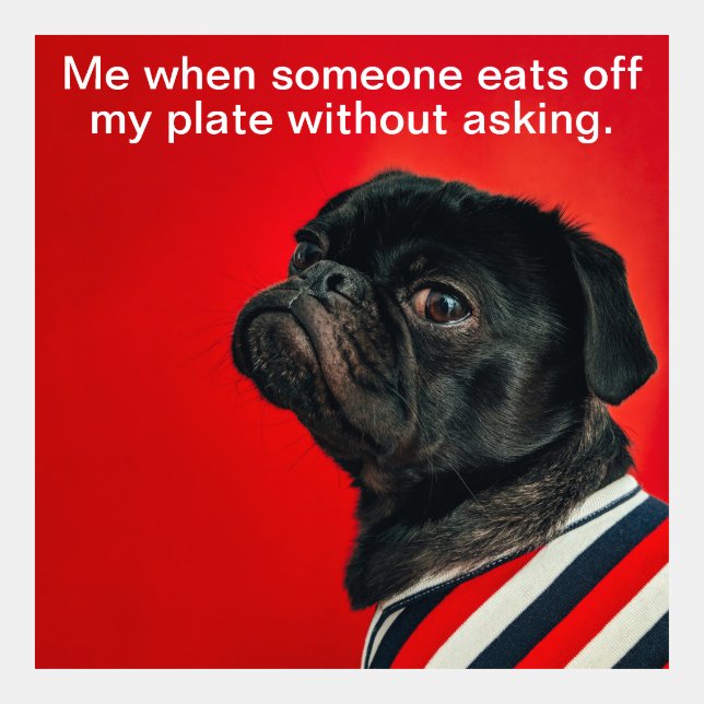 Pug Side-Eye Meme (Front)