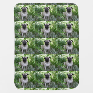 pug sitting baby blanket