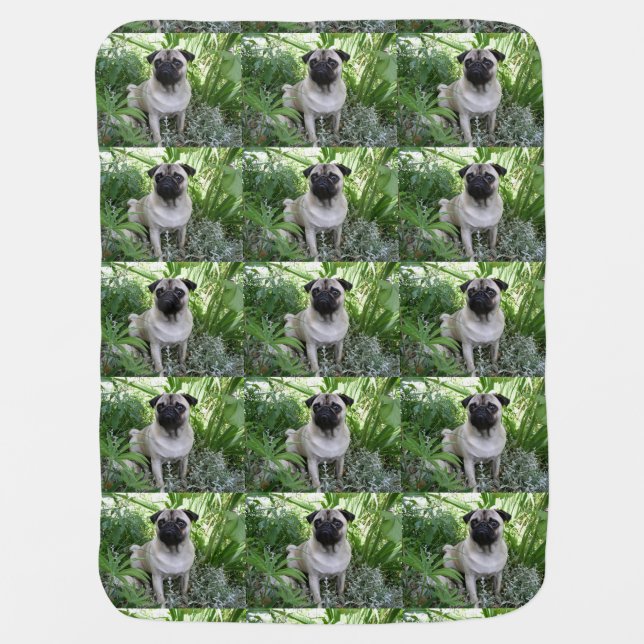 pug sitting baby blanket (Front)