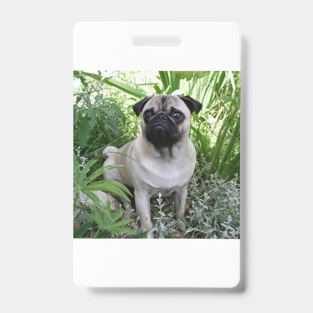 pug sitting badge (Front)