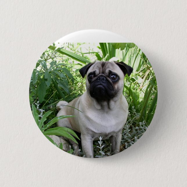 pug sitting button (Front)