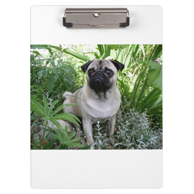 pug sitting clipboard (Front)
