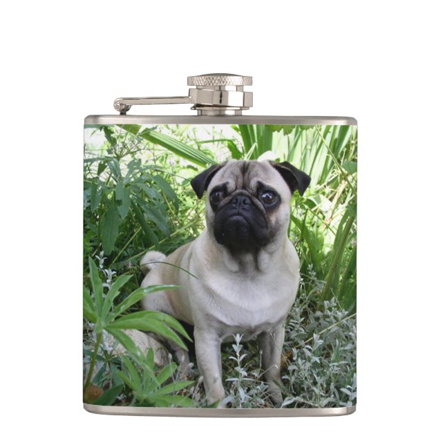 pug sitting flask (Front)