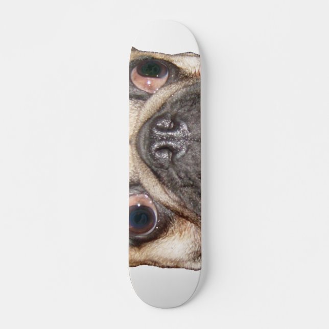 Pug Skateboard (Front)