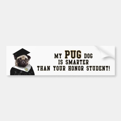 Pug smarter than honor student Bumper Sticker