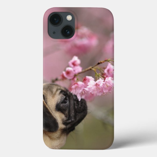 Pug Smelling Cherry Blossoms Case-Mate iPhone Case (Back)