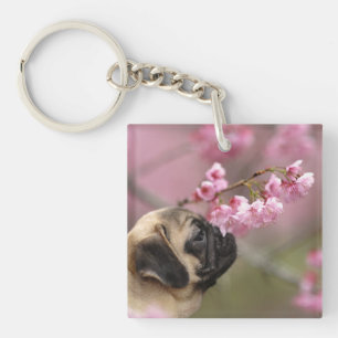 Pug Smelling Cherry Blossoms Keychain