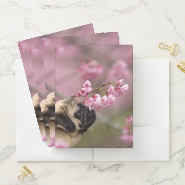Pug Smelling Cherry Blossoms Pocket Folder (In Situ)
