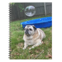 Pug Spiral Notebook