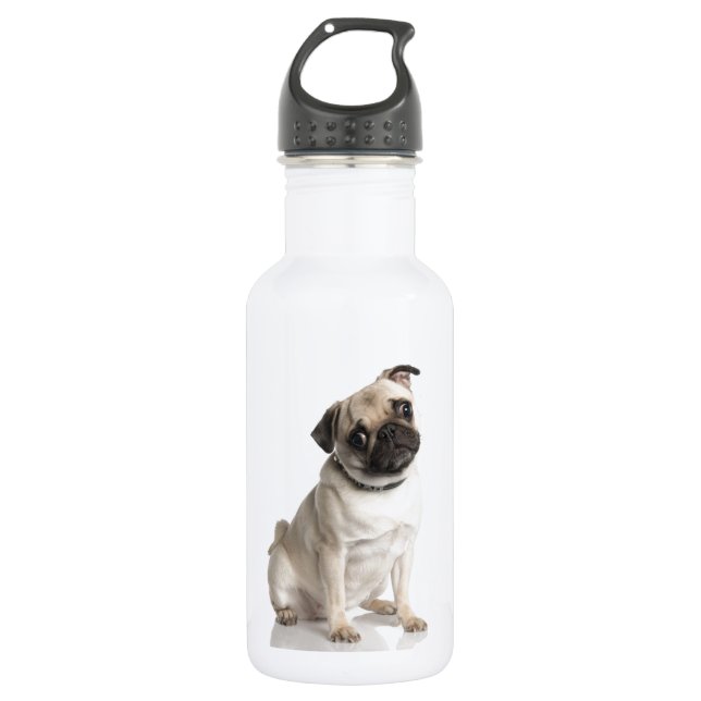 Pug Stainless Steel Water Bottle (Front)