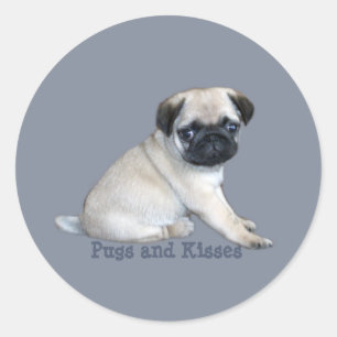 Pug Sticker