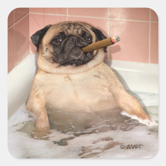 Pug Taking Bubble Bath Square Sticker (Front)