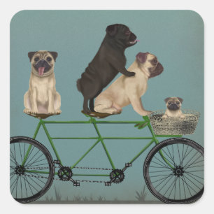 Pug Tandem Square Sticker