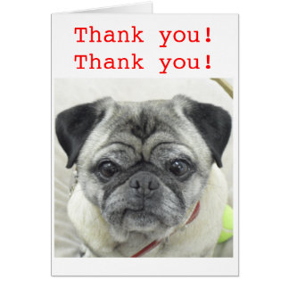 Pug Thank You Cards, Pug Thank You Card Templates, Postage, Invitations ...