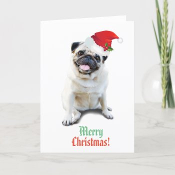 Pug Themed Merry Christmas! Card by jawprint at Zazzle