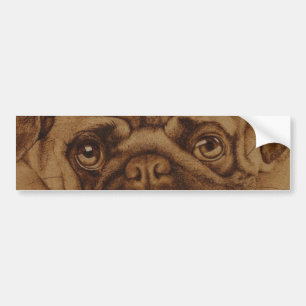 Pug transfer of parachoque bumper sticker