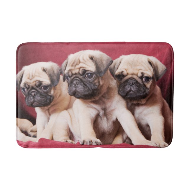 Pug Triplets Bath Mat (Front)