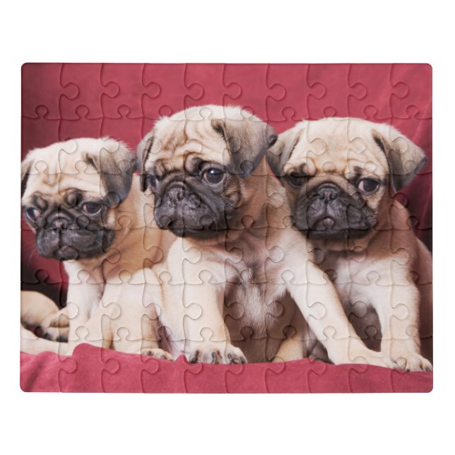 Pug Triplets Jigsaw Puzzle (Puzzle Horizontal)