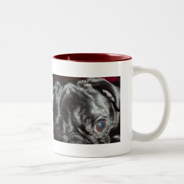 Pug Up-Close - "Here's Looking at You" Two-Tone Coffee Mug (Right)