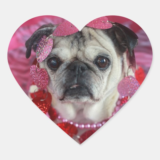 Pug Valentine Heart Stickers (Front)