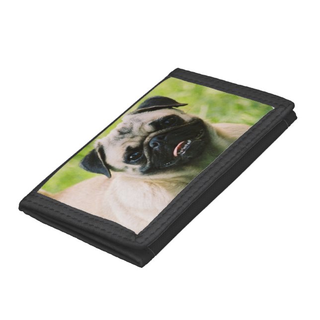 Pug Wallet (Bottom)