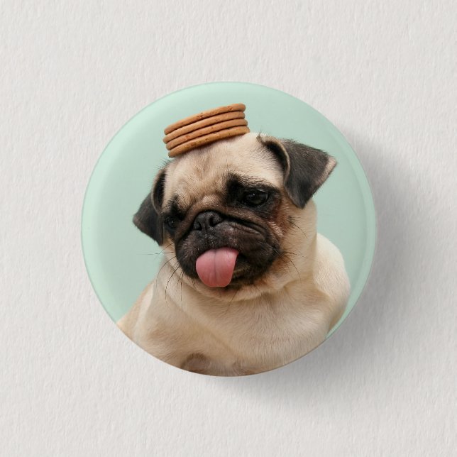 Pug Wants Treats Button (Front)
