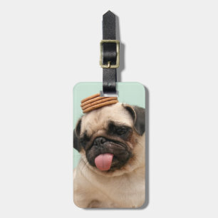 Pug Wants Treats Luggage Tag